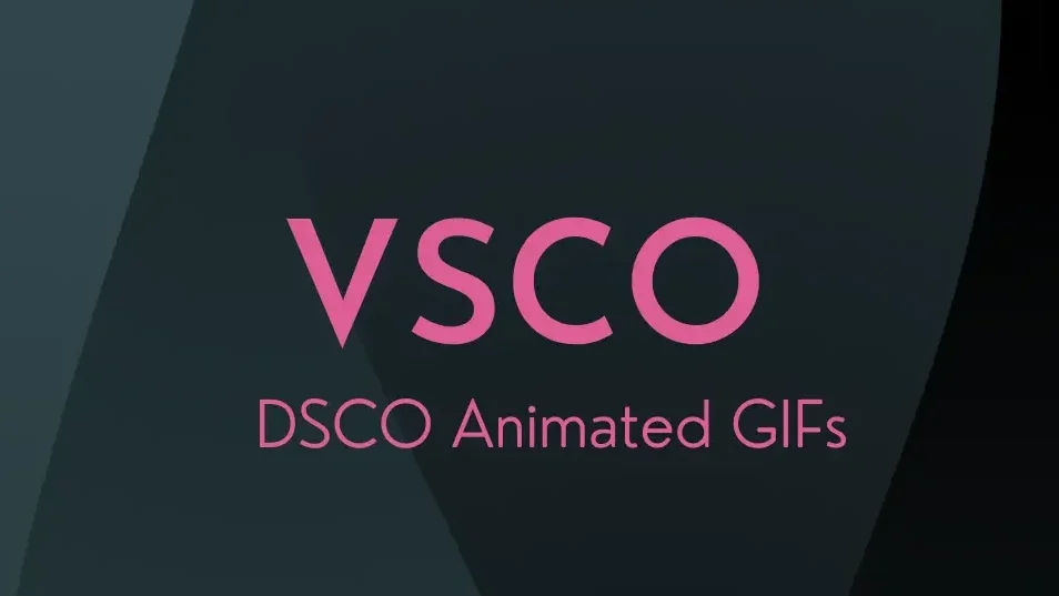 VSCO DSCO GIFs